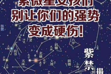 迁移宫紫薇星权天相星什么意思