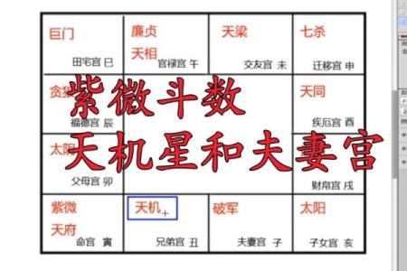 紫微斗数诸星落诸宫之：天机星奴仆宫详解