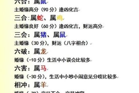 属猪和什么属相最配对 属猪和什么属相相冲