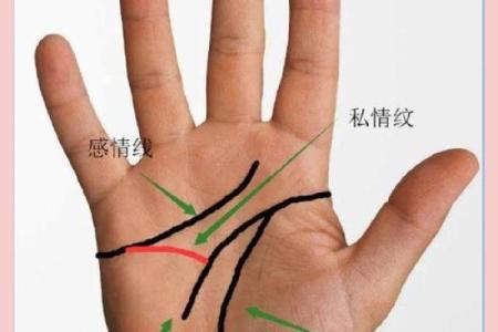 《手相学习百科》：感情线
