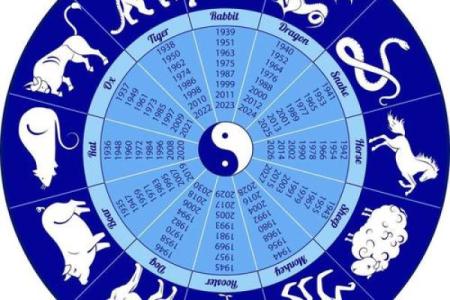 属狗的财运方位 从地支所在方向查看 西北方和东方都是不错的