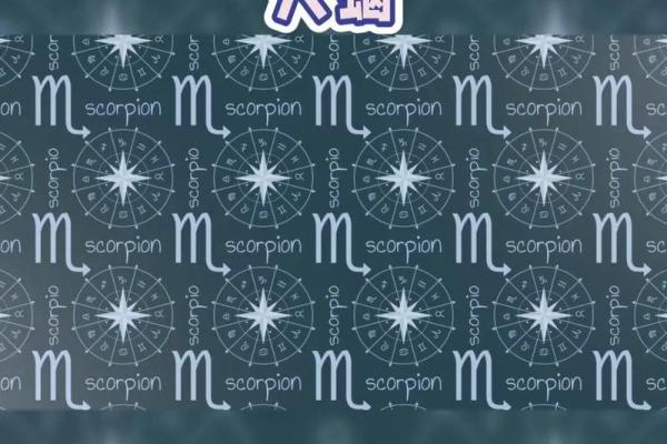 对天蝎座最好的星座是哪个
