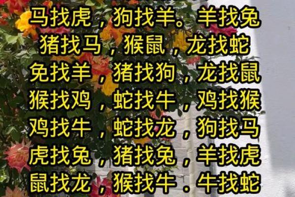 属相婚配十二生肖配对图表，属相婚配十二生肖配对图表图片？
