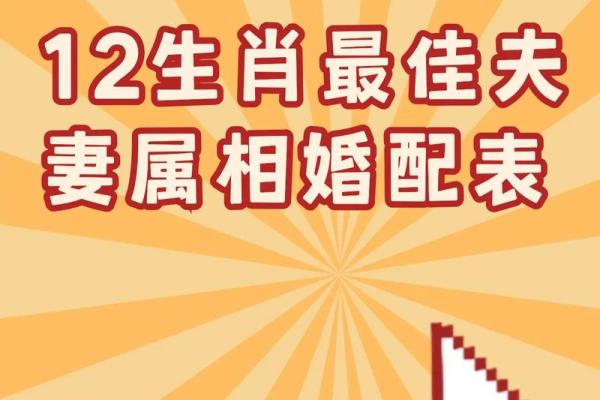 属相婚配十二生肖配对图表，属相婚配十二生肖配对图表图片？
