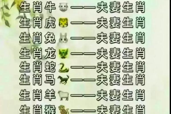 婚姻属相配对大全很准