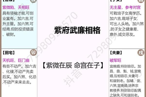 紫微斗数诸星落诸宫之:紫微星夫妻宫详解 紫微斗数诸星落诸宫之:紫微星夫妻宫详解