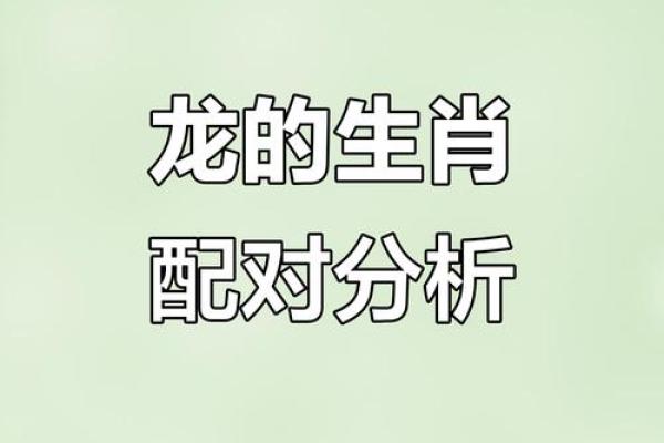 龙生肖配对大揭秘，十二生肖知识详解