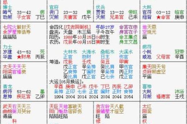紫薇斗数流禄