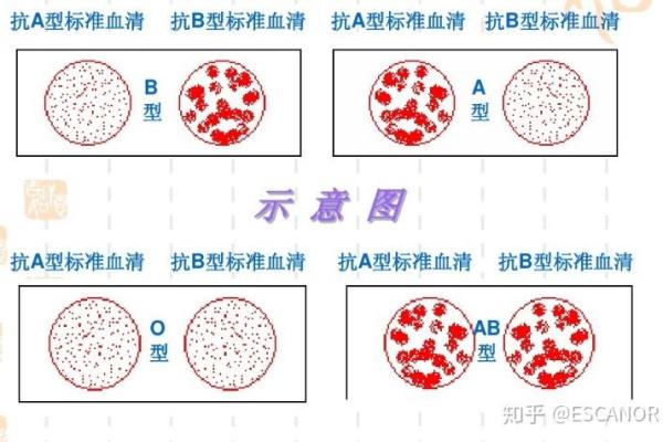 血型教你吊住他的胃口