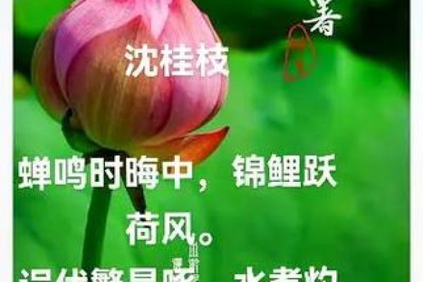 小暑的诗 小暑的主要节气民俗