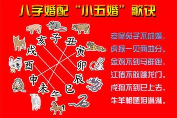 生肖男女配对大全，花果学说详解