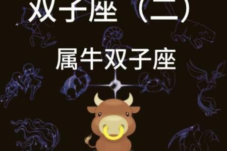 牛年生肖算命揭秘你的命运