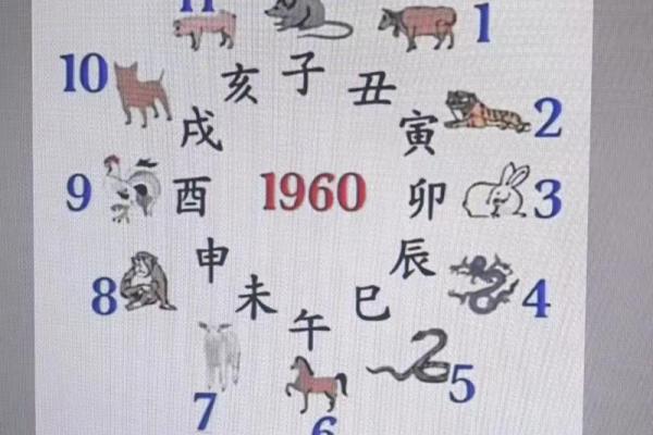 风水学八字纯阳的女命运势怎么样
