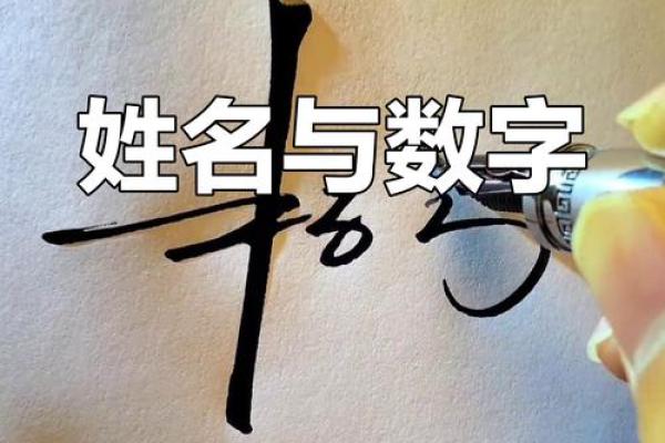 姓名数字配对游戏 姓名对应数字？