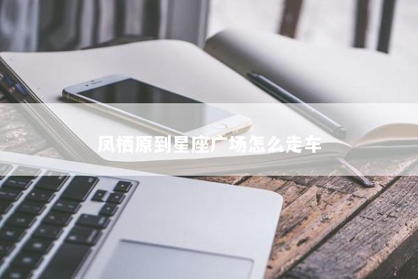 凤栖原到星座广场怎么走车