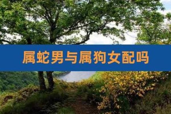 属蛇的人和哪些生肖最为配对