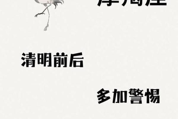不懂得孝顺的星座有哪些