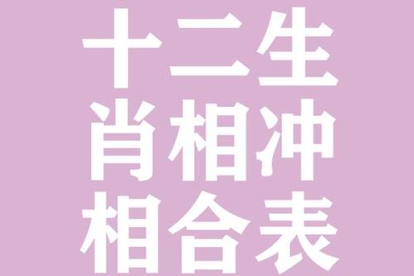 属相配对父子相冲
