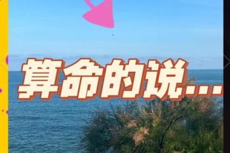手机号码算命免费算命