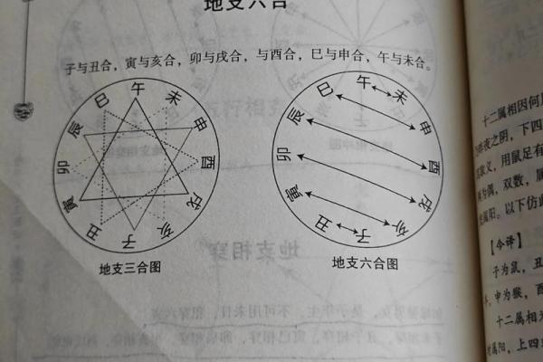 八字命理合婚93剑锋金94山头火绝配