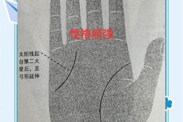 《手相学习百科》：太阳线