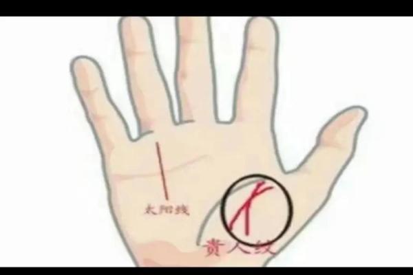 《手相学习百科》：太阳线