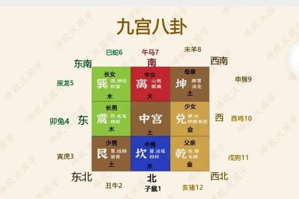 商业：办公养花风水与五行八卦