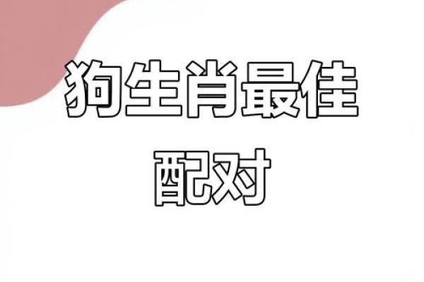 在一起家破人亡的生肖配对