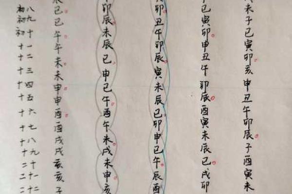加会紫薇斗数