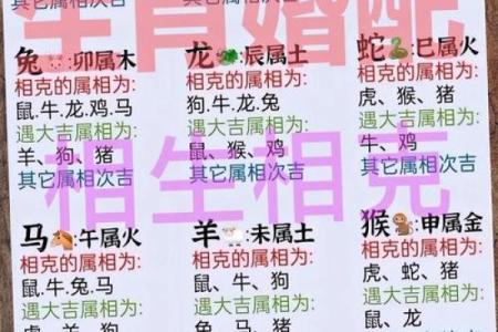 属鼠人姻缘配对 属鼠的人姻缘怎么样？