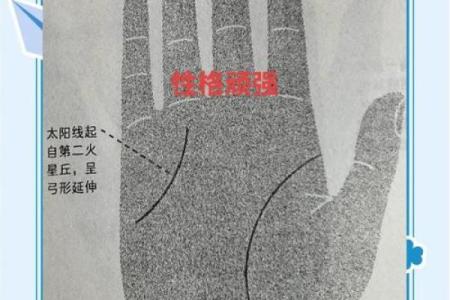 《手相学习百科》：太阳线