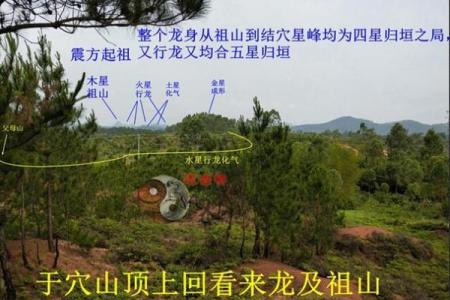 后辈出贵人祖坟风水：贵子之地