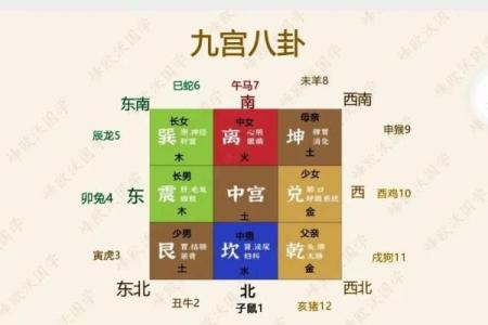 商业：办公养花风水与五行八卦