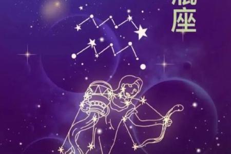 水瓶座星座复合运势