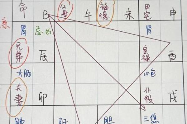 紫微斗数诸星落诸宫之,巨门星:阴土疾厄宫详解 紫微斗数诸星落诸宫之,巨门星:阴土疾厄宫详解