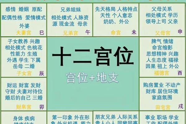 紫微命盘查询免费算命