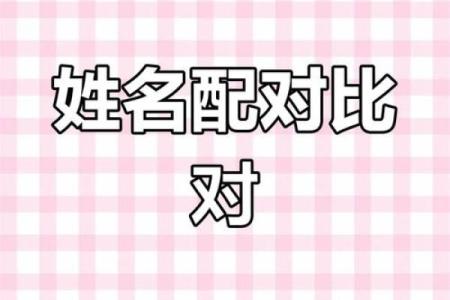 手机号码姓名配对 手机号与名字配对免费？