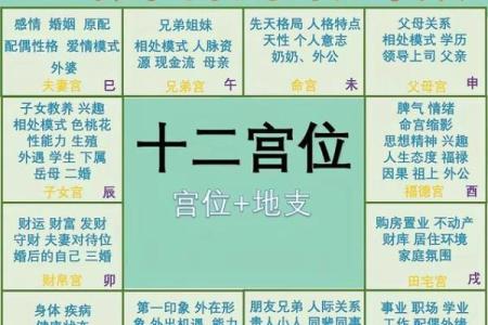 紫微命盘查询免费算命