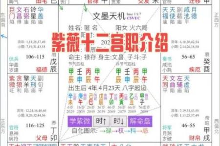 紫薇斗数看相貌宫位