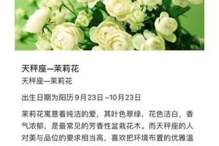 十二星座的守护花都有哪些呢