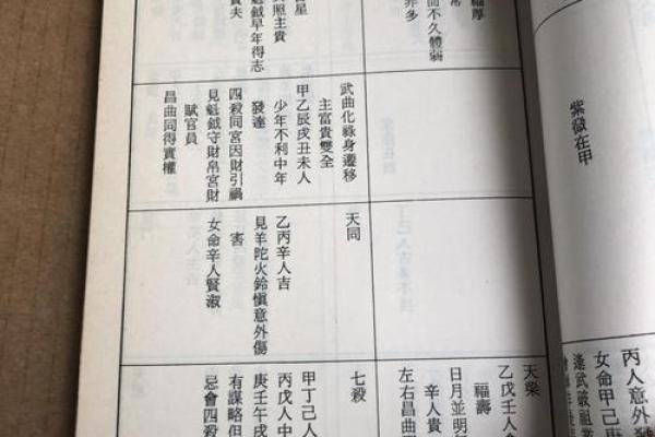 中州紫薇斗数实例