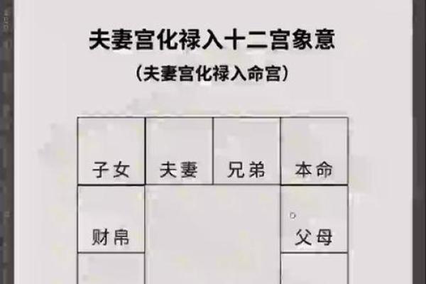 紫薇斗数化禄流通