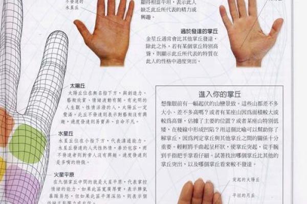 《手相学习百科》：手的形状