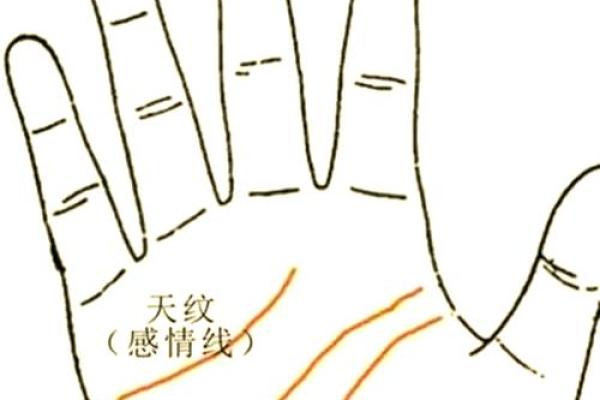 《手相学习百科》：手的形状