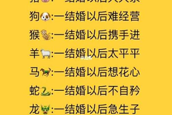 有助男人事业运的生肖配对