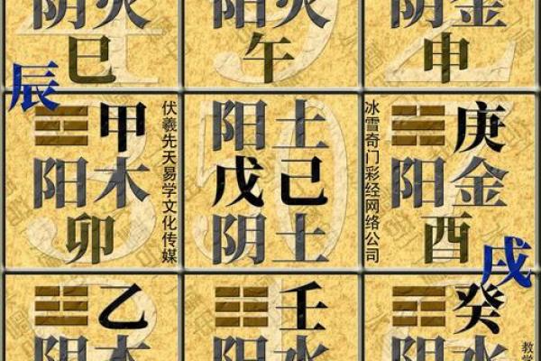 什么样的八字适合当主播