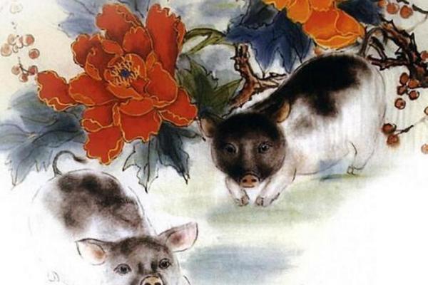 「生肖猪」的相关资讯和百科全解析
