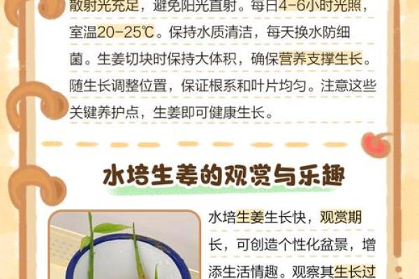 种生姜 风水