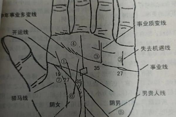 《手相学习百科》：掌纹介绍