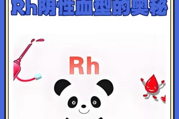 血型中rh阴性是什么意思